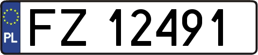 FZ12491