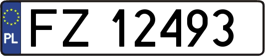 FZ12493