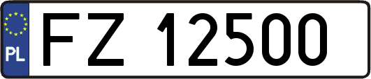 FZ12500