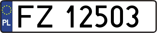 FZ12503