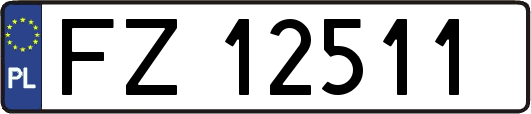 FZ12511