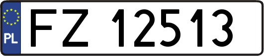 FZ12513