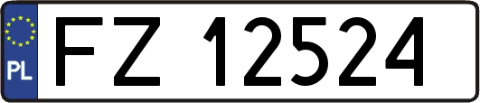 FZ12524