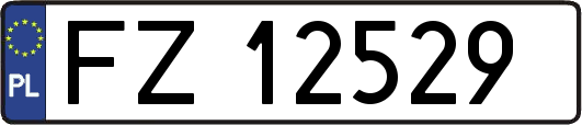 FZ12529