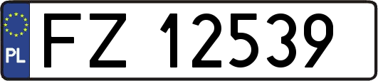 FZ12539