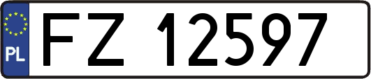 FZ12597