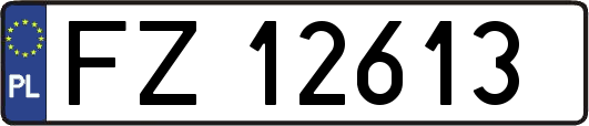FZ12613