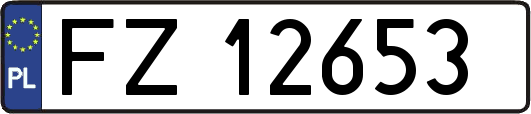FZ12653