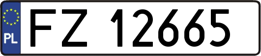 FZ12665