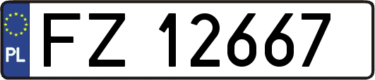 FZ12667