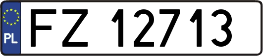 FZ12713
