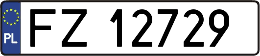 FZ12729