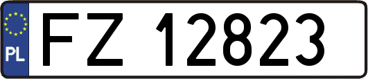 FZ12823