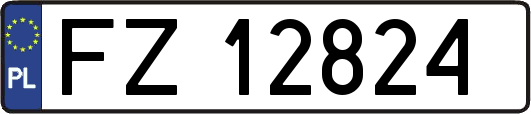 FZ12824