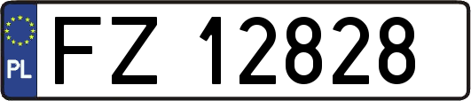 FZ12828