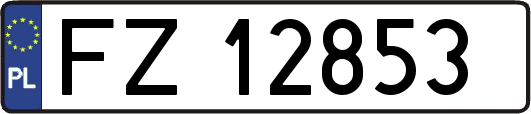 FZ12853