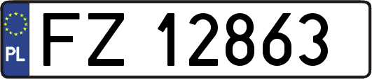 FZ12863