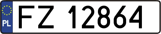 FZ12864