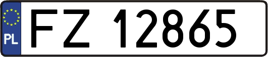 FZ12865