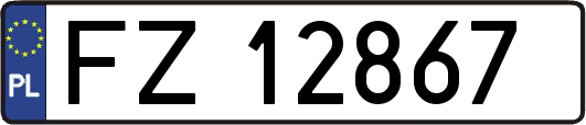 FZ12867