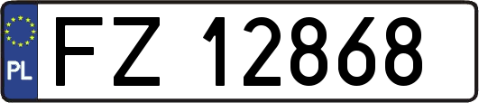 FZ12868