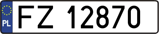 FZ12870