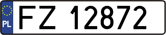 FZ12872