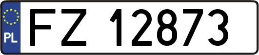 FZ12873