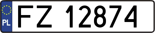 FZ12874