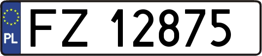 FZ12875