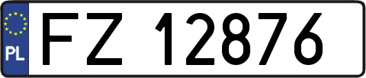 FZ12876