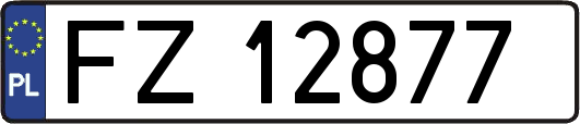 FZ12877