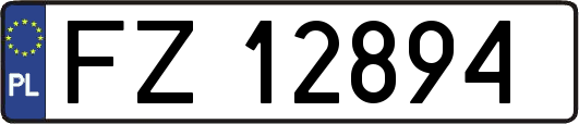 FZ12894