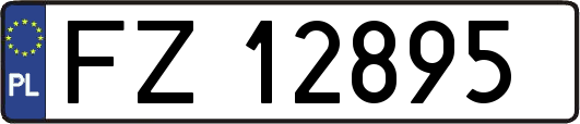 FZ12895