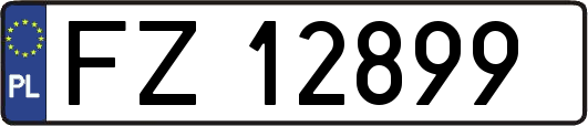 FZ12899