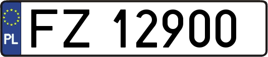 FZ12900