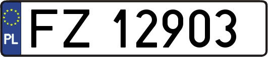 FZ12903