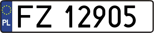 FZ12905