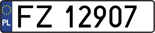 FZ12907