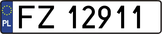 FZ12911