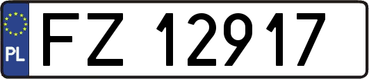 FZ12917