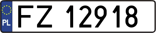 FZ12918