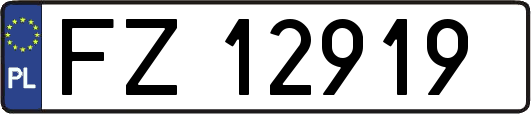 FZ12919