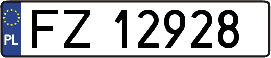 FZ12928
