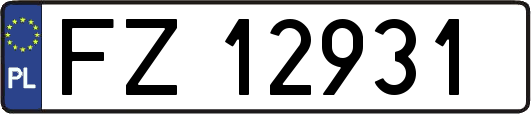 FZ12931