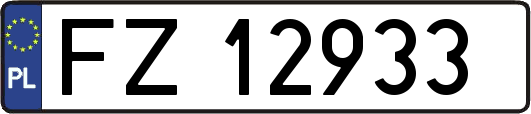 FZ12933