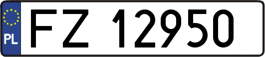 FZ12950