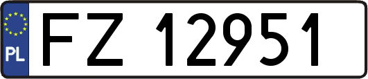 FZ12951