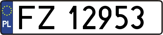 FZ12953