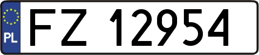 FZ12954